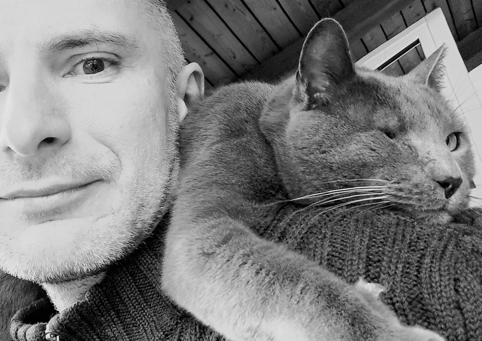 Unsere Katze Columbo und meiner einer.