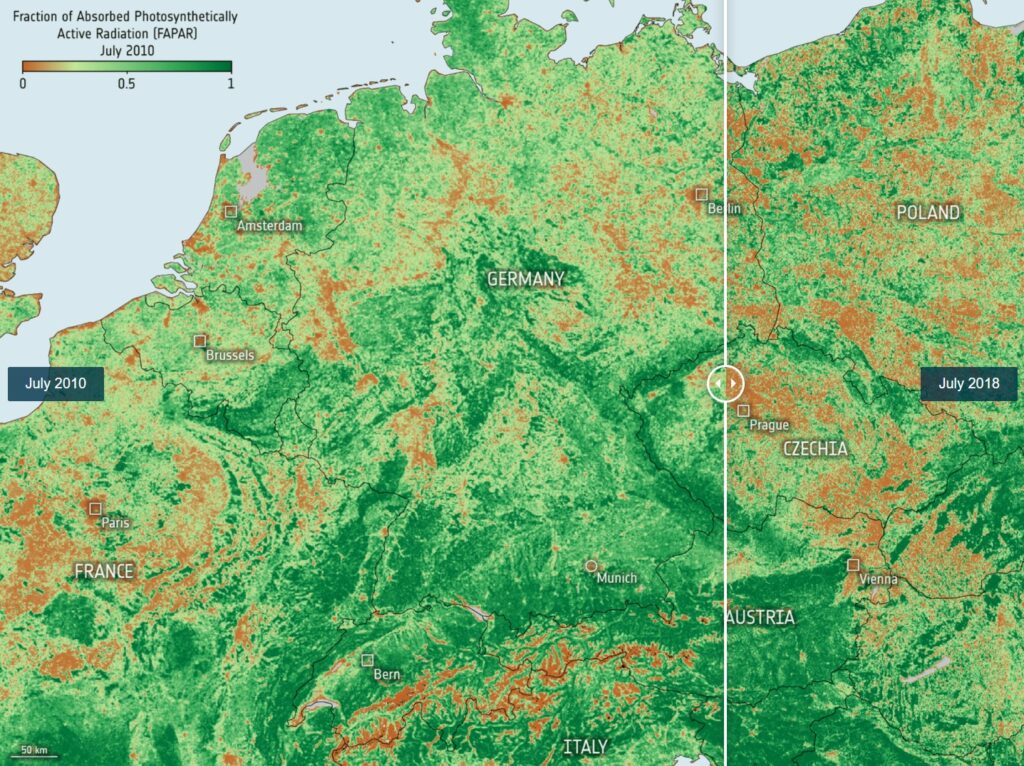 Fraction of Absorbed Photosynthetically Active Radiation